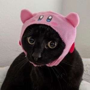 Meet your Posher, Jade